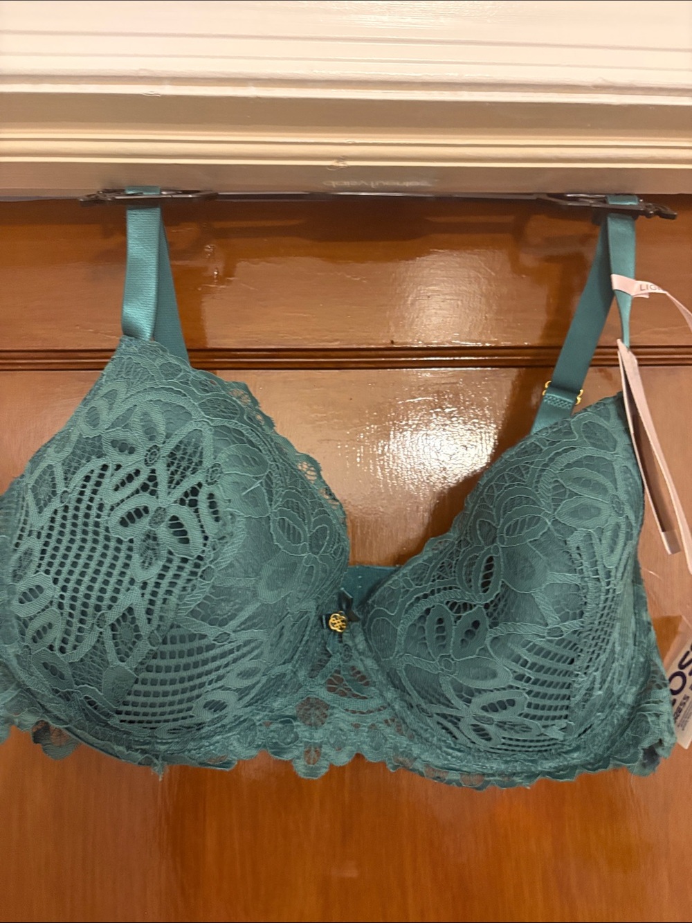 Daisy Fuentes Teal Lace Underwire Bra